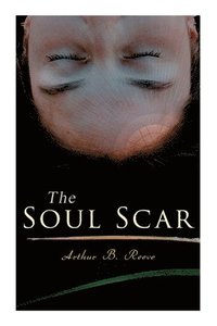 bokomslag Soul Scar