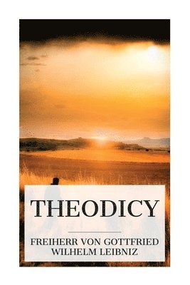 bokomslag Theodicy