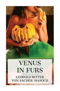 bokomslag Venus in Furs