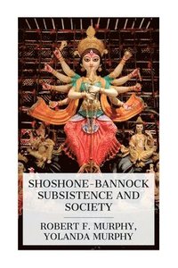 bokomslag Shoshone-Bannock Subsistence and Society