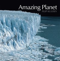bokomslag Amazing planet