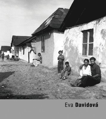 Eva Davidova, Häftad
