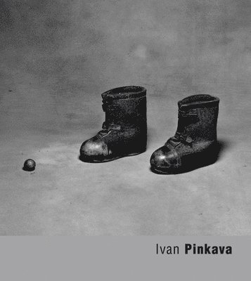 Ivan Pinkava, Häftad