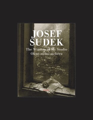 Josef Sudek: The Window of My Studio 1