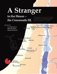 bokomslag A Stranger in the House - The Crossroads III