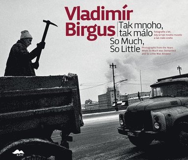 bokomslag Vladimír Birgus: So Much, So Little: Photographs from the Years When So Much Was Demanded and So Little Was Allowed