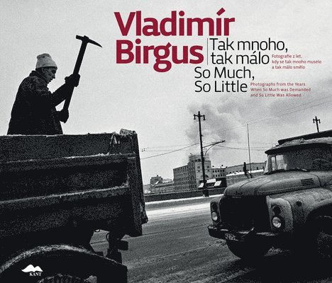 Vladimír Birgus: So Much, So Little: Photographs from the Years When So Much Was Demanded and So Little Was Allowed