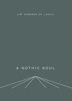 bokomslag A Gothic Soul