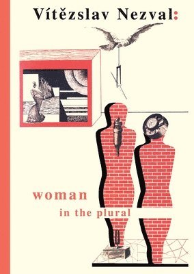 Woman in the Plural 1