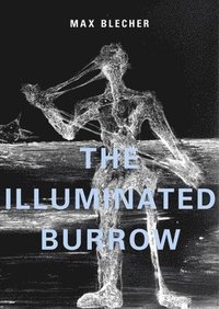 bokomslag The Illuminated Burrow