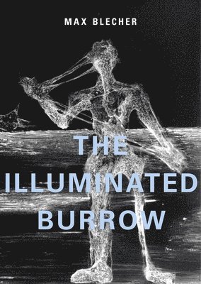 Illuminated Burrow