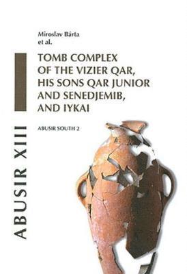 bokomslag Abusir XIII