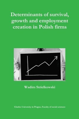 Wadim Strielkowski - Determinants of survival, growth and employment creation in Polish firms, Häftad