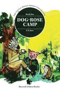 E. F. Jane - The Little Green Forest Collection, Häftad