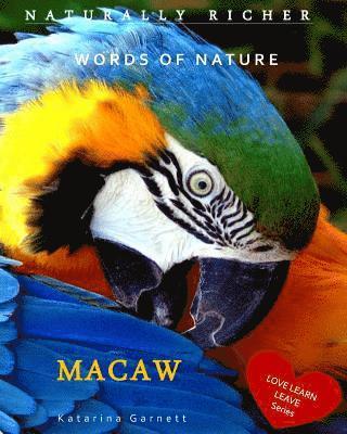 bokomslag Macaw