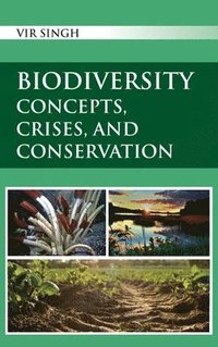 bokomslag Biodiversity: Concepts, Crises, and Conservation