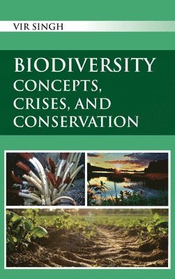 bokomslag Biodiversity