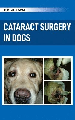 bokomslag Cataract Surgery in Dogs