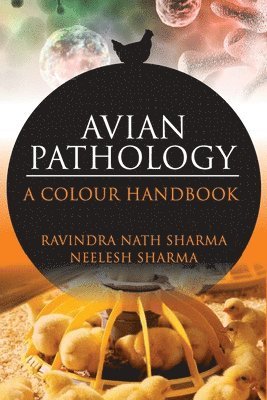 bokomslag Avian Pathology: A Colour Handbook