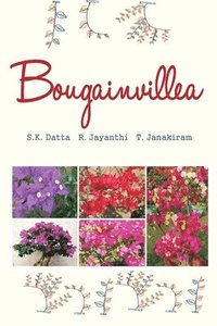bokomslag Bougainvillea