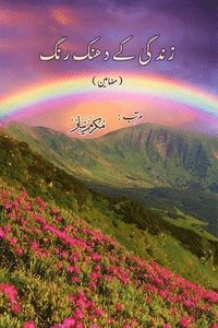 bokomslag Zindagi ke dhanak Rang: (Urdu Essays)