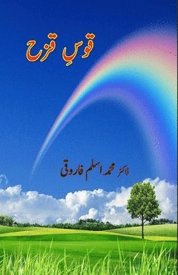 bokomslag Qous-e-Qazah: (Essays)