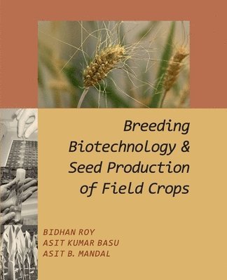 bokomslag Breeding,Biotechnology and Seed Production of Field Crops