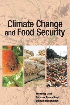 Mrinmoy Datta, Narendra Pratap Singh, Dhiman Daschaudhuri - Climate Change and Food Security, Häftad