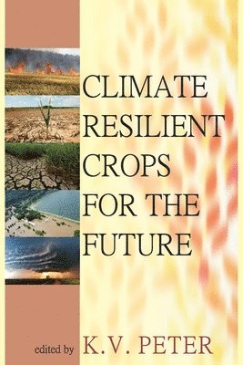 bokomslag Climate Resilient Crops for The Future