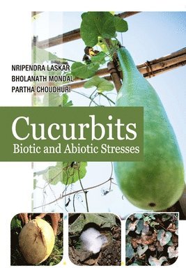 bokomslag Cucurbits