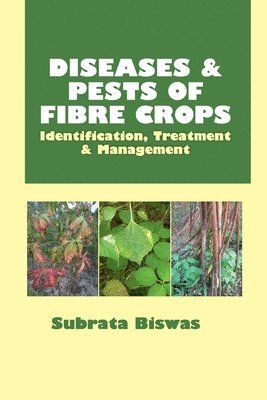 Subrata Biswas - Diseases and Pests of Fibre Crops, Häftad