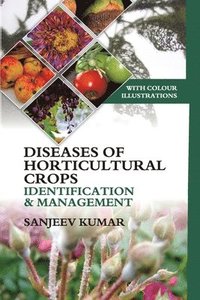 bokomslag Diseases of Horticultural Crops Identification and Management: With Colour Illustrations