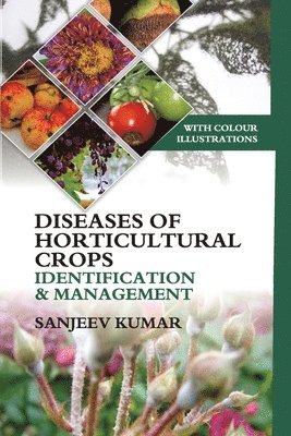 bokomslag Diseases of Horticultural Crops Identification and Management: With Colour Illustrations