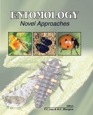 bokomslag Entomology: Novel Approaches