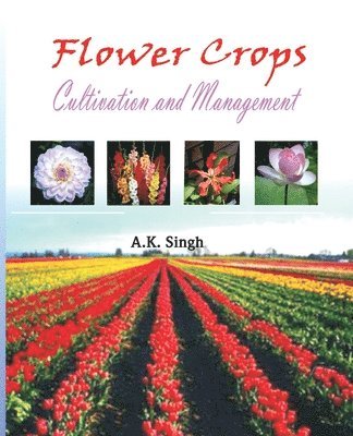 Anil Kumar Singh - Flower Crops, Häftad