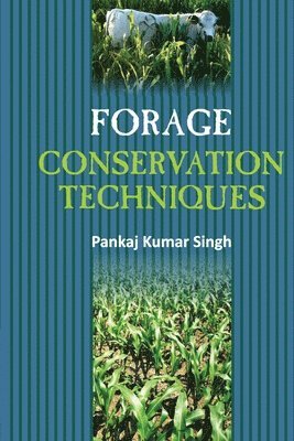 Pankaj Kumar Singh - Forage Conservation Techniques, Häftad