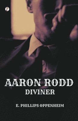 bokomslag Aaron Rodd Diviner