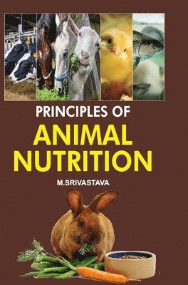 bokomslag Principles of Animal Nutrition