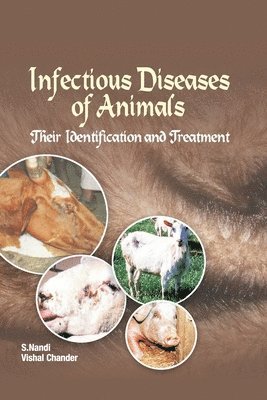 bokomslag Infectious Diseases of Animals Their Identification and Treatment