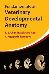 bokomslag Fundamentals of Veterinary Developmental Anatomy