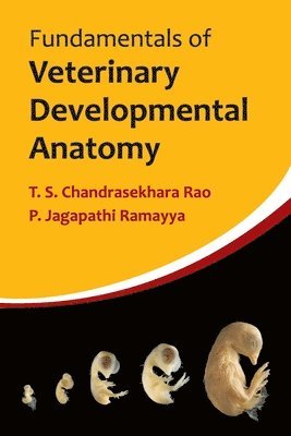 T.S.Chandrasekhara Rao, P.J.Ramayya - Fundamentals of Veterinary Developmental Anatomy, Häftad