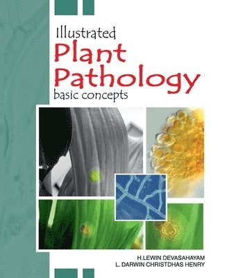 bokomslag Illustrated Plant Pathology