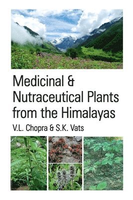 bokomslag Medicinal and Nutraceutical Plants From The Himalayas