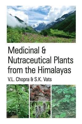 bokomslag Medicinal and Nutraceutical Plants from the Himalayas