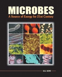 bokomslag Microbes: A Source of Energy for 21st Century