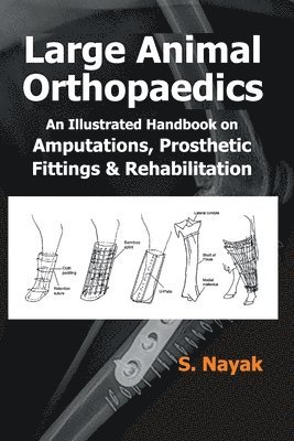 bokomslag Large Animal Orthopedics: An Illustrated Handbook on Amputations, Prosthetic Fittings and Rehabilitations