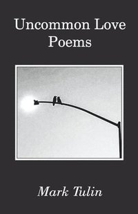 bokomslag Uncommon Love Poems