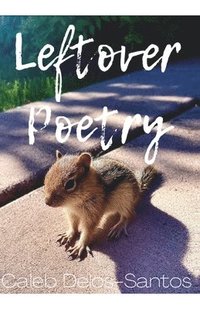 bokomslag Leftover Poetry
