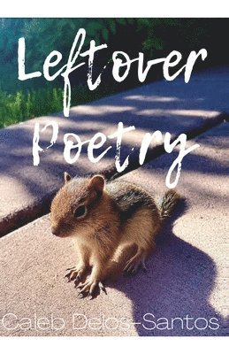 bokomslag Leftover Poetry