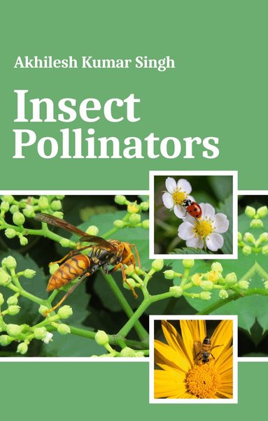 Akhilesh Kumar Singh - Insect Pollinators, Inbunden